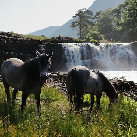 Apartment Town Centre Apartment, Clifden