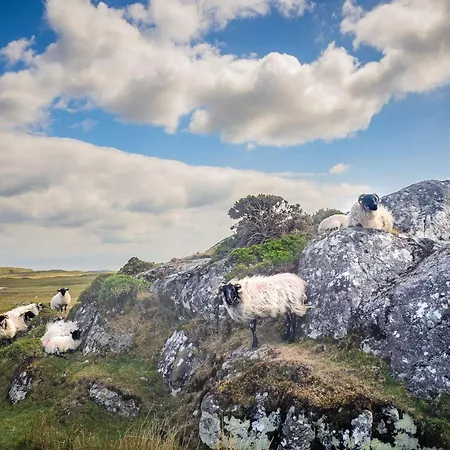 Apartment Town Centre Apartment,