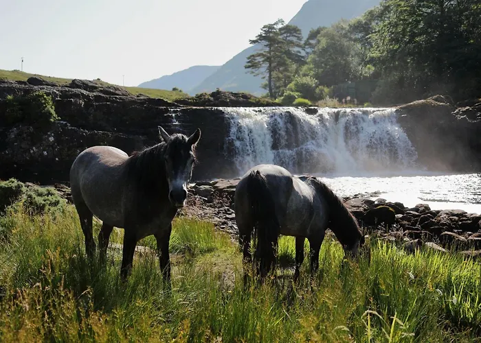 公寓 Town Centre Apartment, 克利夫登