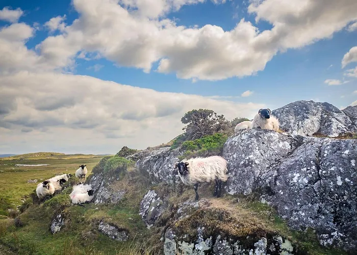 Appartement Town Centre Apartment,